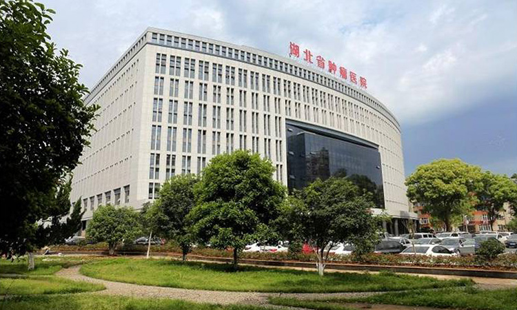 41湖北省肿瘤医院-数量950余套.jpg