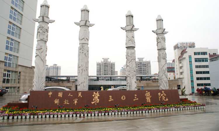 97中国人民解放军第303医院-数量1100余套.jpg